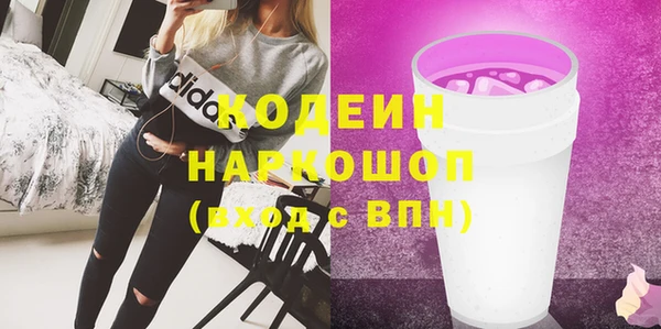 крисы Краснослободск