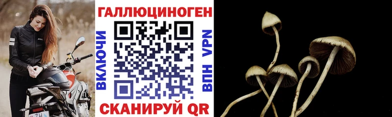 Галлюциногенные грибы GOLDEN TEACHER  Купить где  Покров 